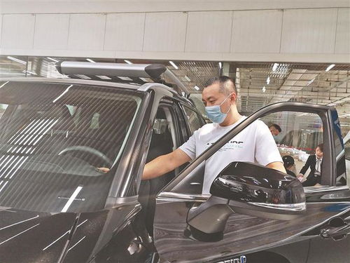 冰城盛夏车市如火如荼，1-15日销量同比增长超三成